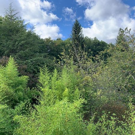 L'Albizia Διαμέρισμα Seigy Εξωτερικό φωτογραφία